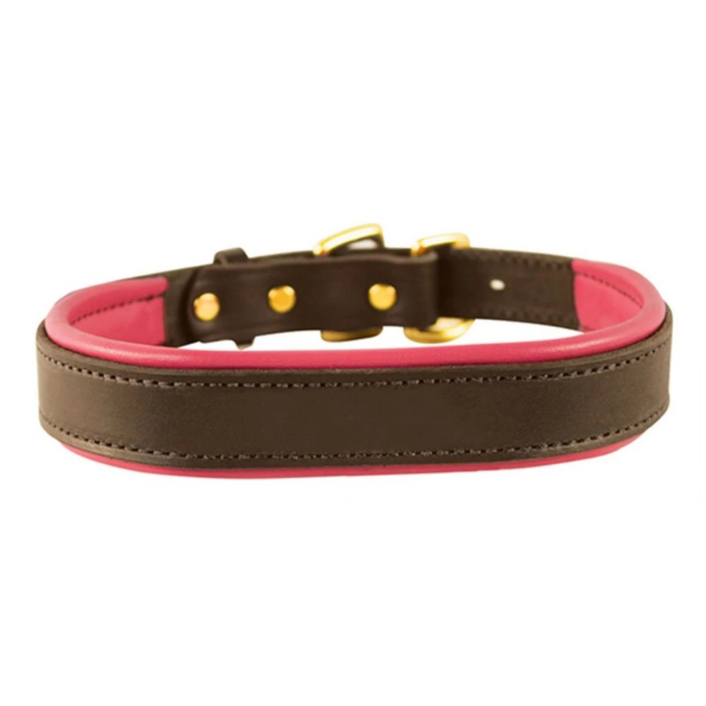 Perri's Padded Leather Dog Collar (X-Large)